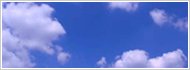 Software Development System Development